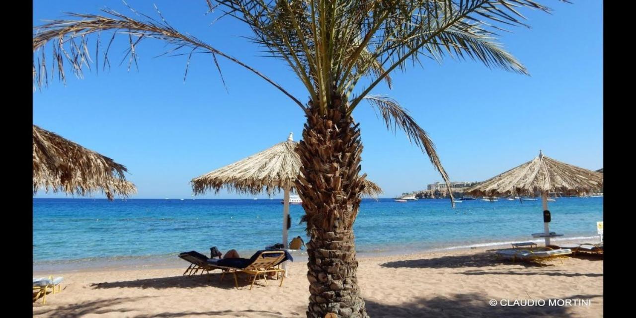 Sharm Dreams Vacation Club - Aqua Park Hotel Exterior foto El Alamein beach